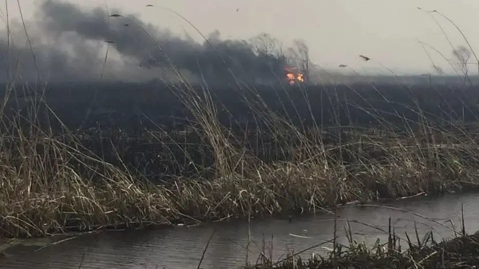 خاموششدن آتش هورالعظیم خاموششدن آتش هورالعظیم