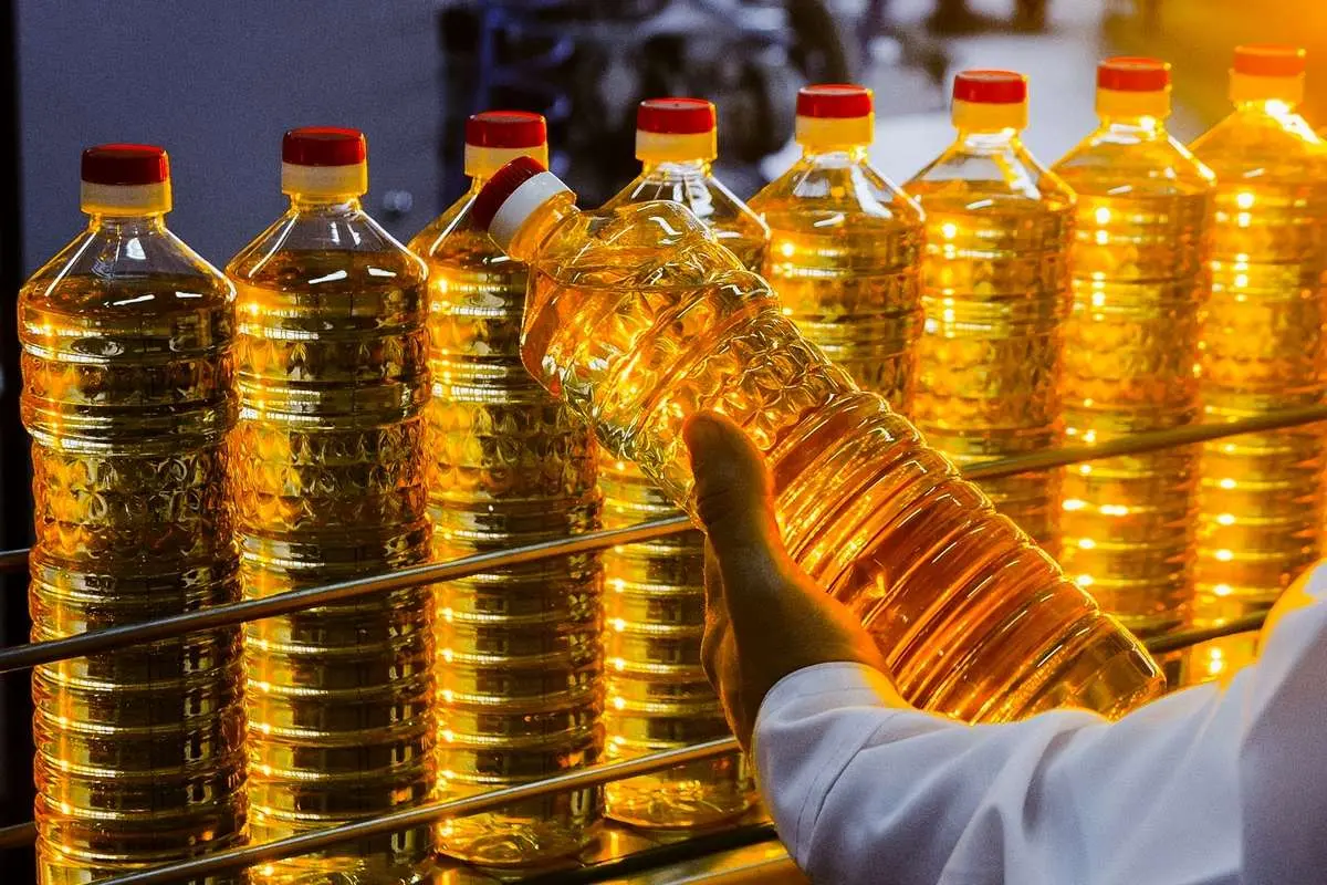 کارگران؛ اولین قربانیان وضعیت آشفته بازار روغن خوراکی/ با وجود گرانی ۱۲۰ درصدی روغن، هنوز قفسه روغن فروشگاهها خالی است کمبود روغن در بازار 1404