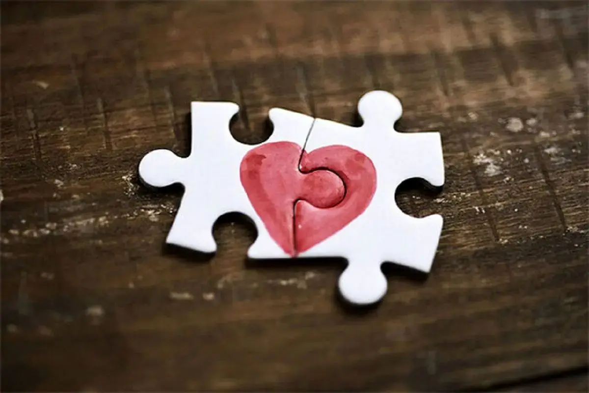 رابطه ازدواج رابطه ازدواج