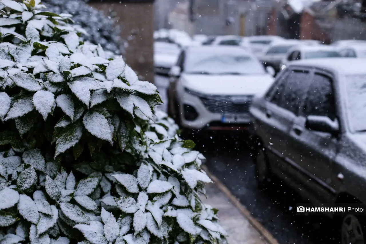 بارش برف در پایتخت