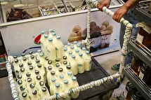 بازار لبنیات در سردرگمی؛ مردم منتظر اعلام رسمی قیمت‌ها هستند