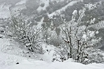 عکس/ پیش‌بینی بارش برف ۶۵ سانتی‌متری در تهران