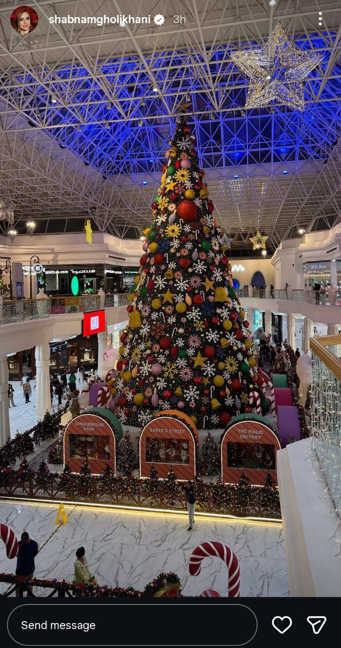 استوری‌های کریسمسی شبنم قلی‌خانی