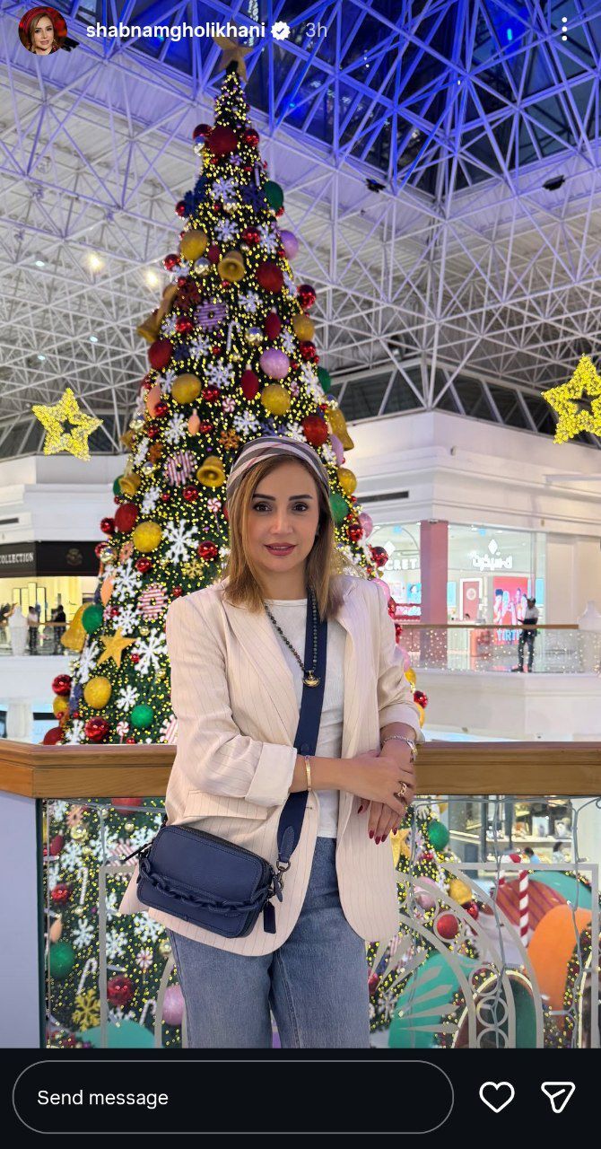 استوری‌های کریسمسی شبنم قلی‌خانی