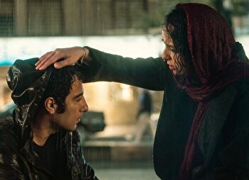 عکس/ حمله ناگهانی نوید محمدزاده به ترانه علیدوستی در استوری و حذف سریع آن