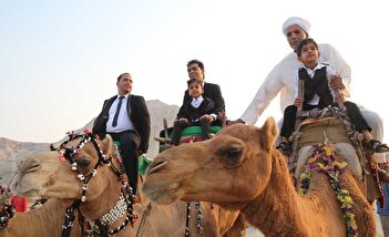 تصویری از یک جشن عروسی زیبا در قشم