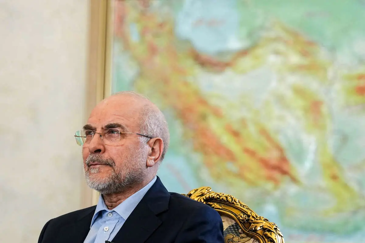 قالیباف قالیباف