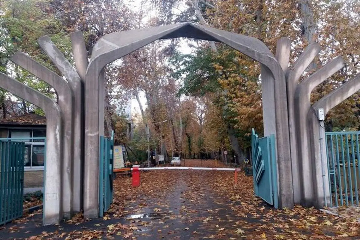 دانشگاه تهران