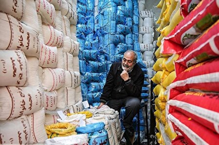 اعلام جدیدترین قیمت برنج ایرانی و پاکستانی + جزییات