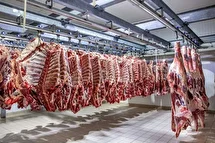 آغاز کاهش قیمت‌ها در بازار گوشت