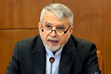 صالحی امیری: تعرفه حمایتی گاز تاسیسات گردشگری حذف نشود