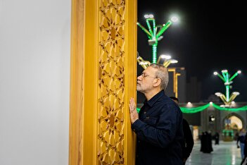 عکس/ سلفی بازی علی لاریجانی با زائران در مشهد