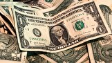 پیش‌بینی قیمت دلار در سال آینده/ کاهش نرخ دلار تا چه رقمی محتمل است؟