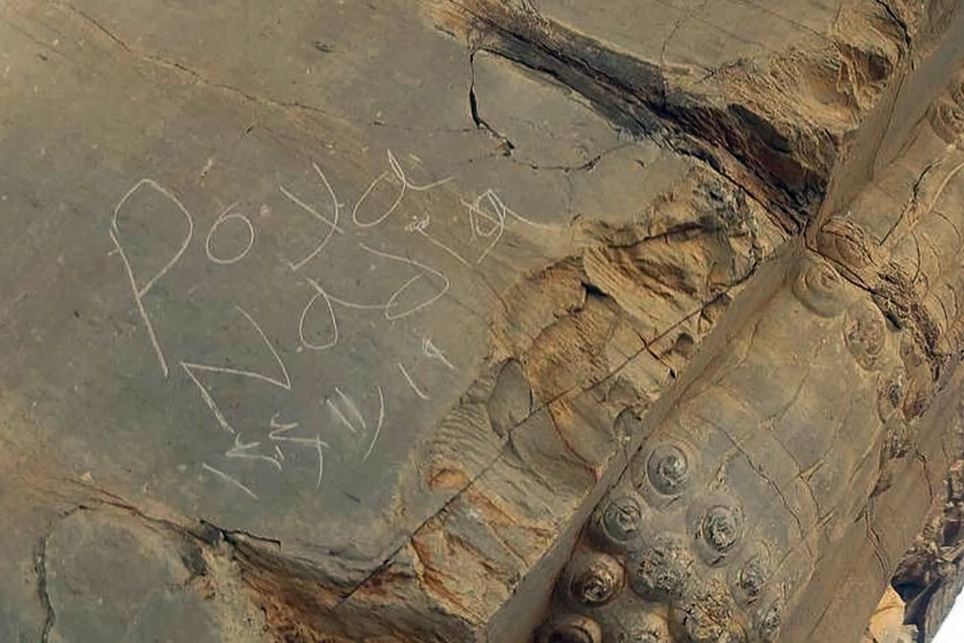 پاکسازی یادگاری‌نویسی روی دروازه ملل تخت جمشید