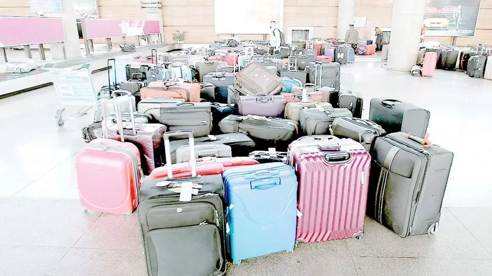 مهاجرت دستهجمعی مهاجرت دستهجمعی