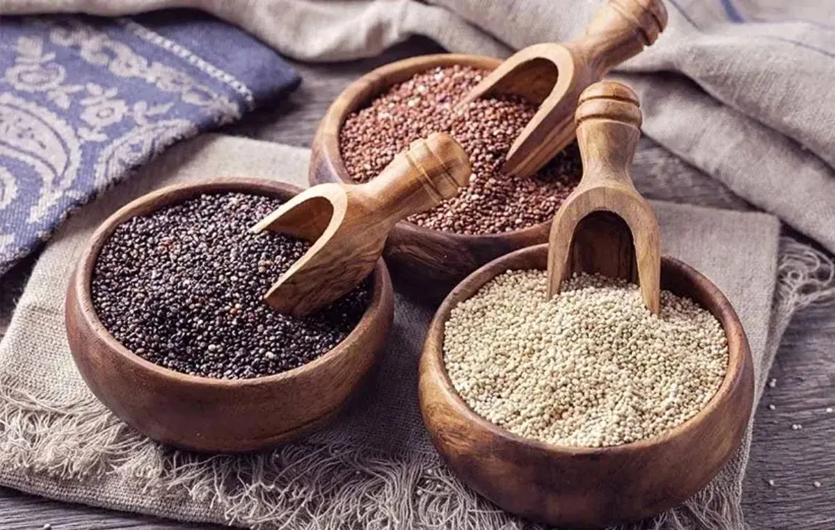 ۹ دانه ارزشمند برای تقویت سلامت بدن ۹ دانه ارزشمند برای تقویت سلامت بدن