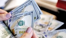 پیش بینی قیمت دلار امروز ۸ بهمن ۱۴۰۴/ سایه سنگین ریسک‌های سیاسی بر سر بازار دلار