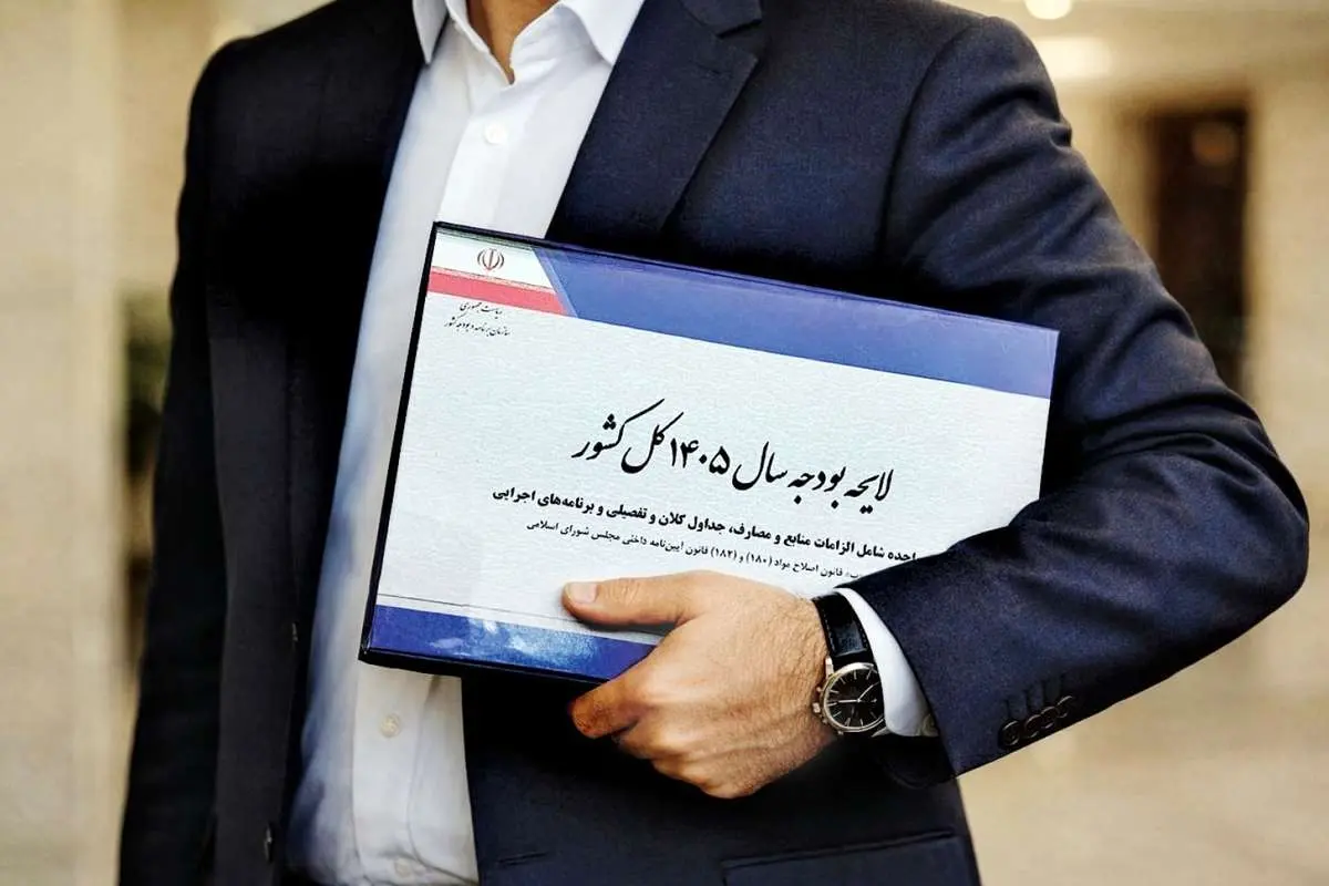 بودجه نهادهای خاص