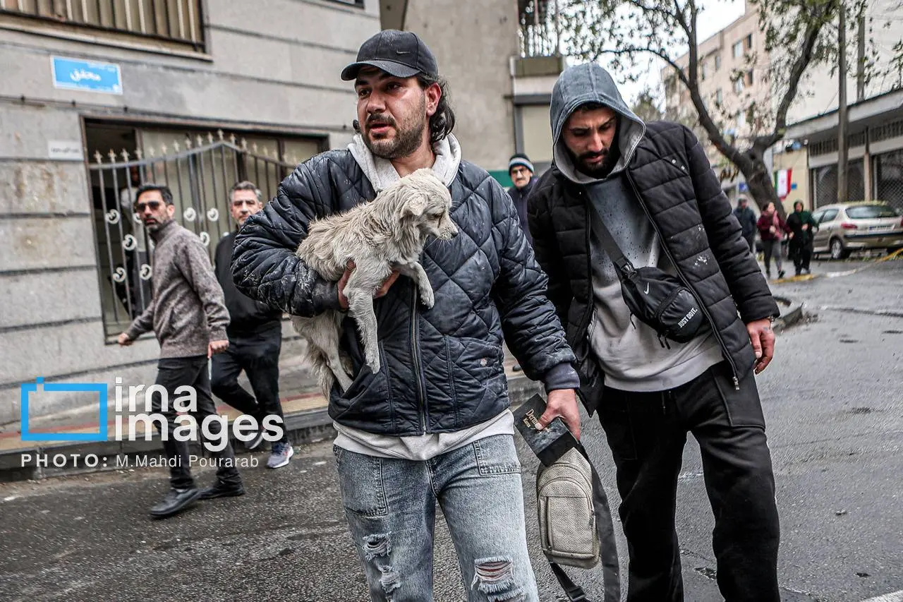 روزگار تلخ حیوانات خانگی در جنگ