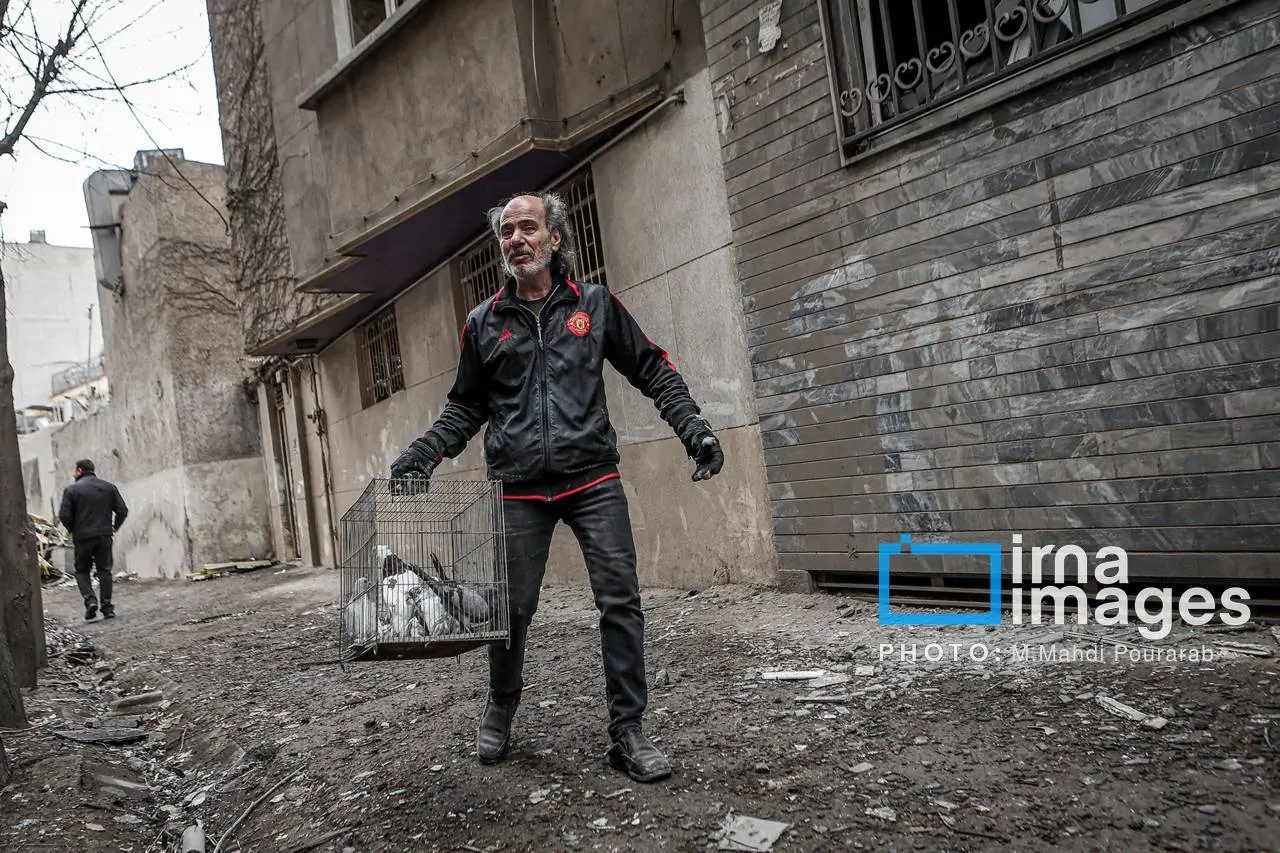 حیوانات خانگی در جنگ