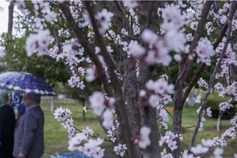 پیش‌بینی بارش‌ها در نوروز