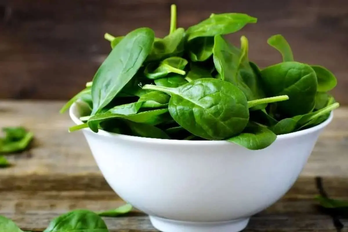 اسفناج و پاکسازی بدن اسفناج و پاکسازی بدن