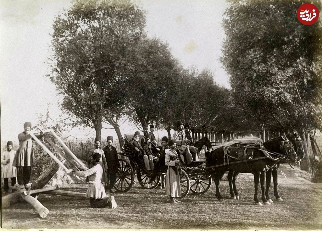 چوب‌بری با اره مخصوص