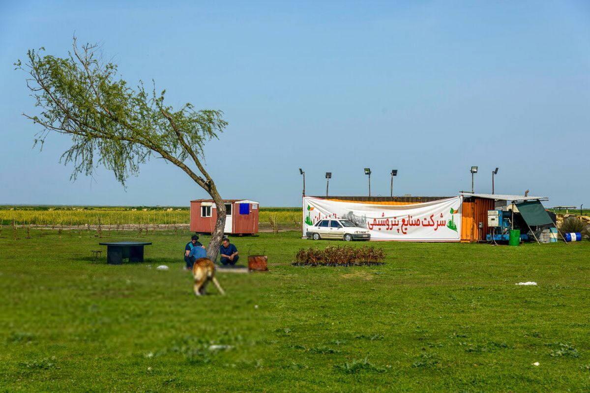 تالاب میانکاله