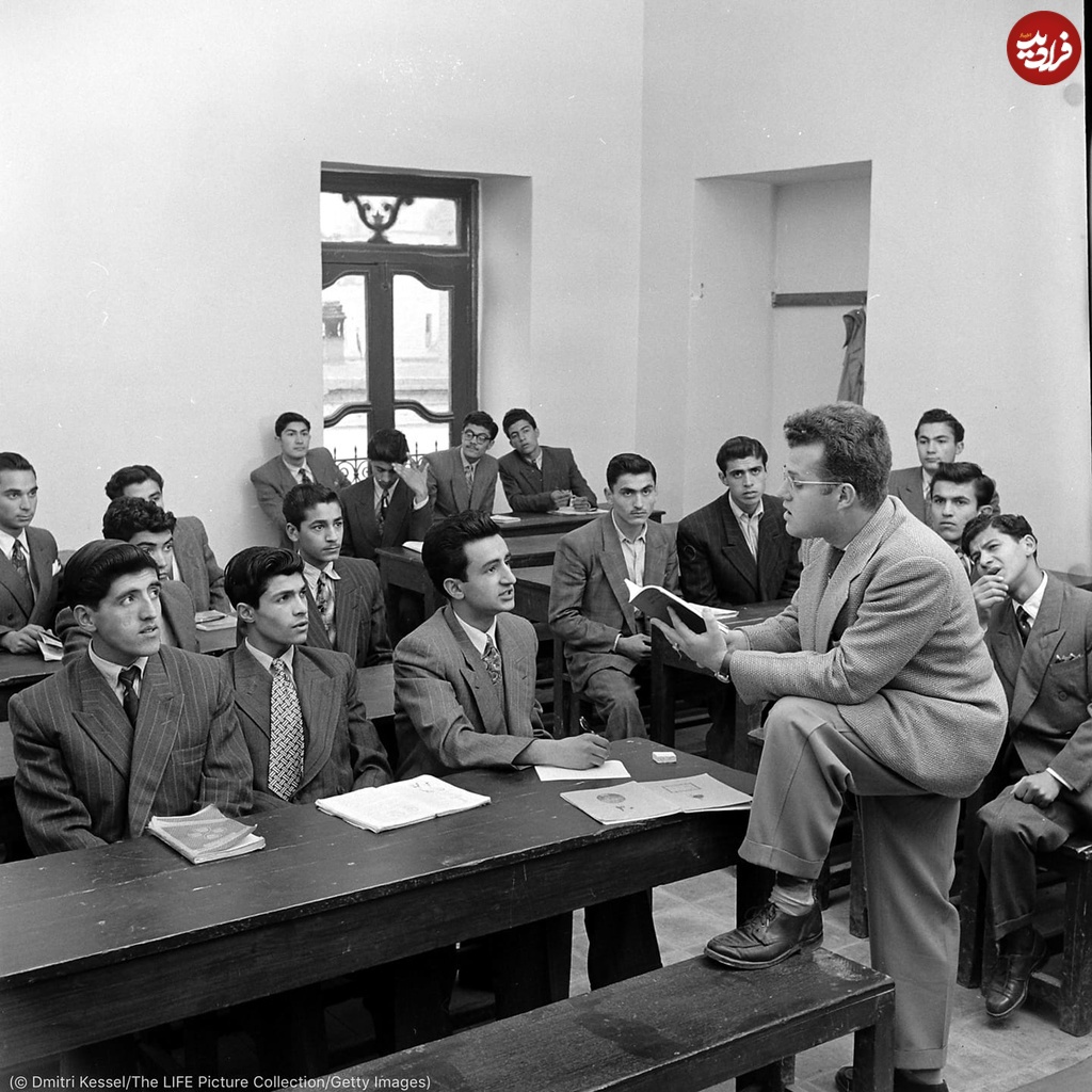 دانشگاه شیراز