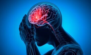 خوردن گردو در صبحانه