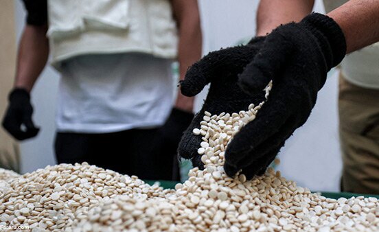 مواد مخدر مواد مخدر