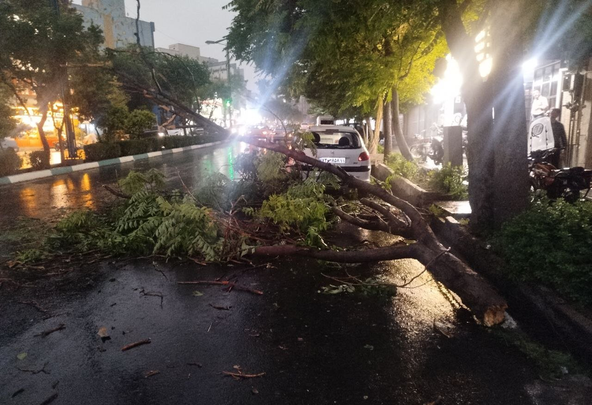 مصدومان طوفان تهران