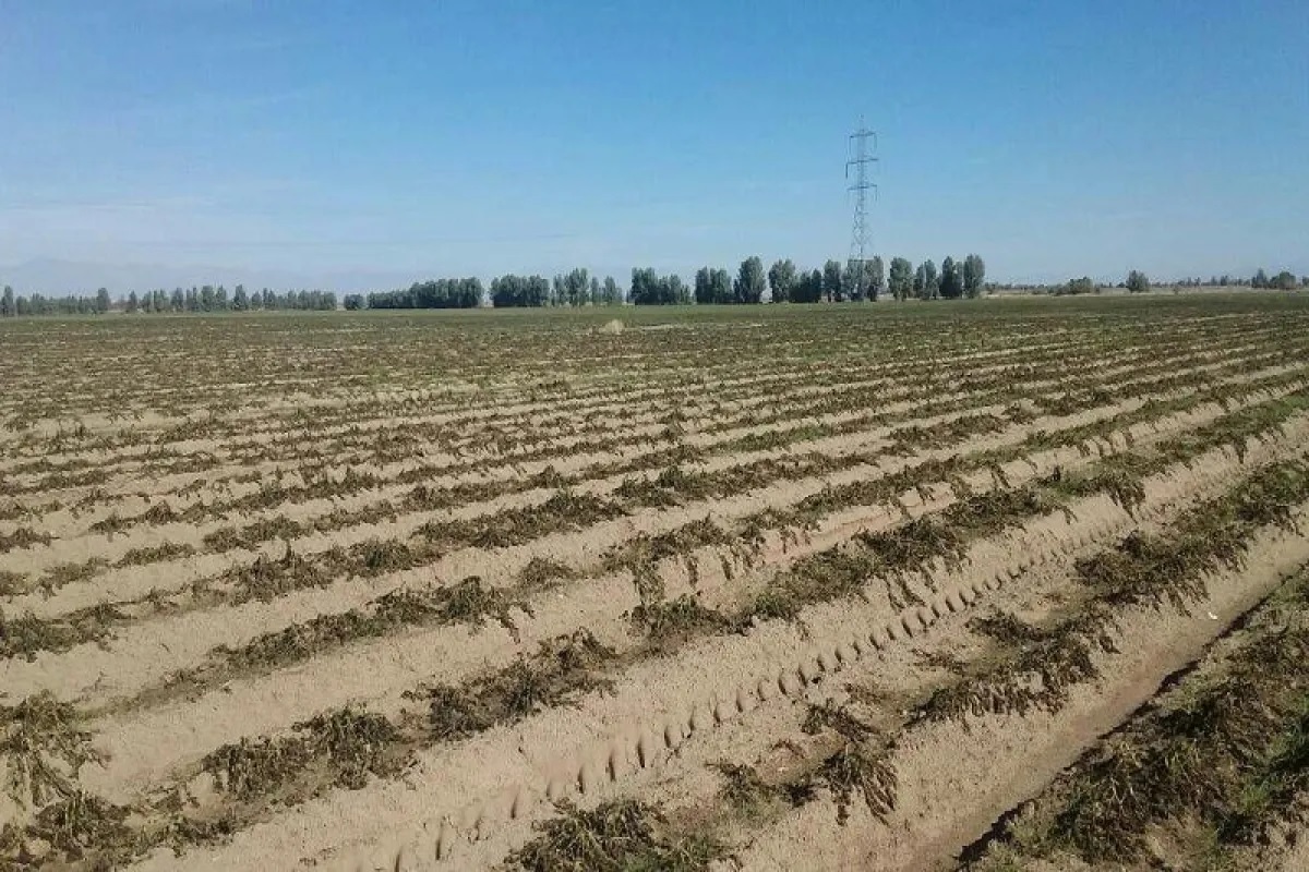 بحران خشکسالی بحران خشکسالی