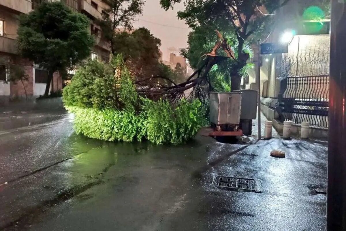 هشدار طوفان به تهرانیها طوفان تهران
