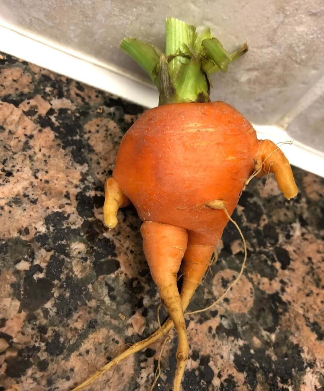 استوری رضا عطاران