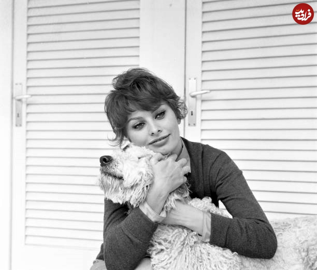 چهره زیبای سوفیا لورن