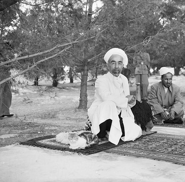 چهره ملک عبدالله