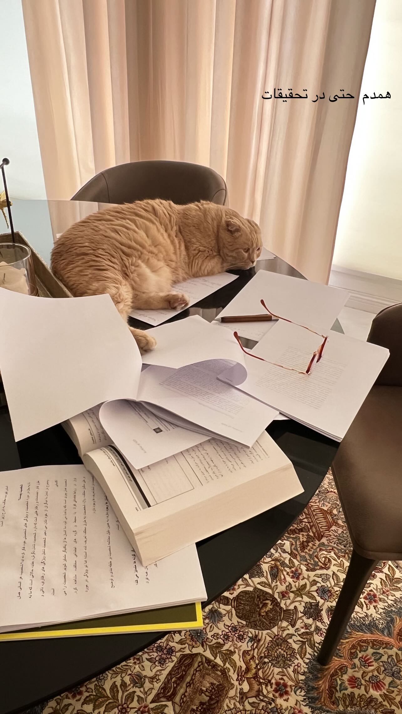 عکس/بهنوش طباطبایی از همدمش رونمایی کرد