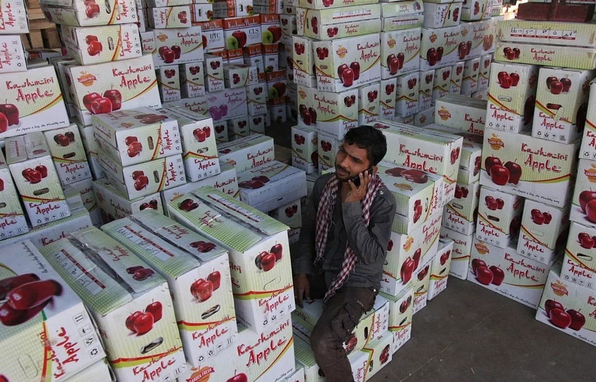 جعبه های سیب صادراتی جعبه های سیب صادراتی