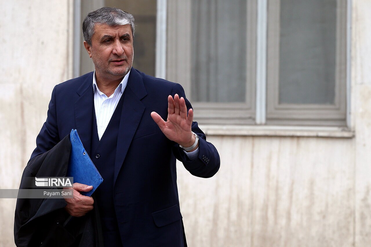 رئیس سازمان انرژی اتمی