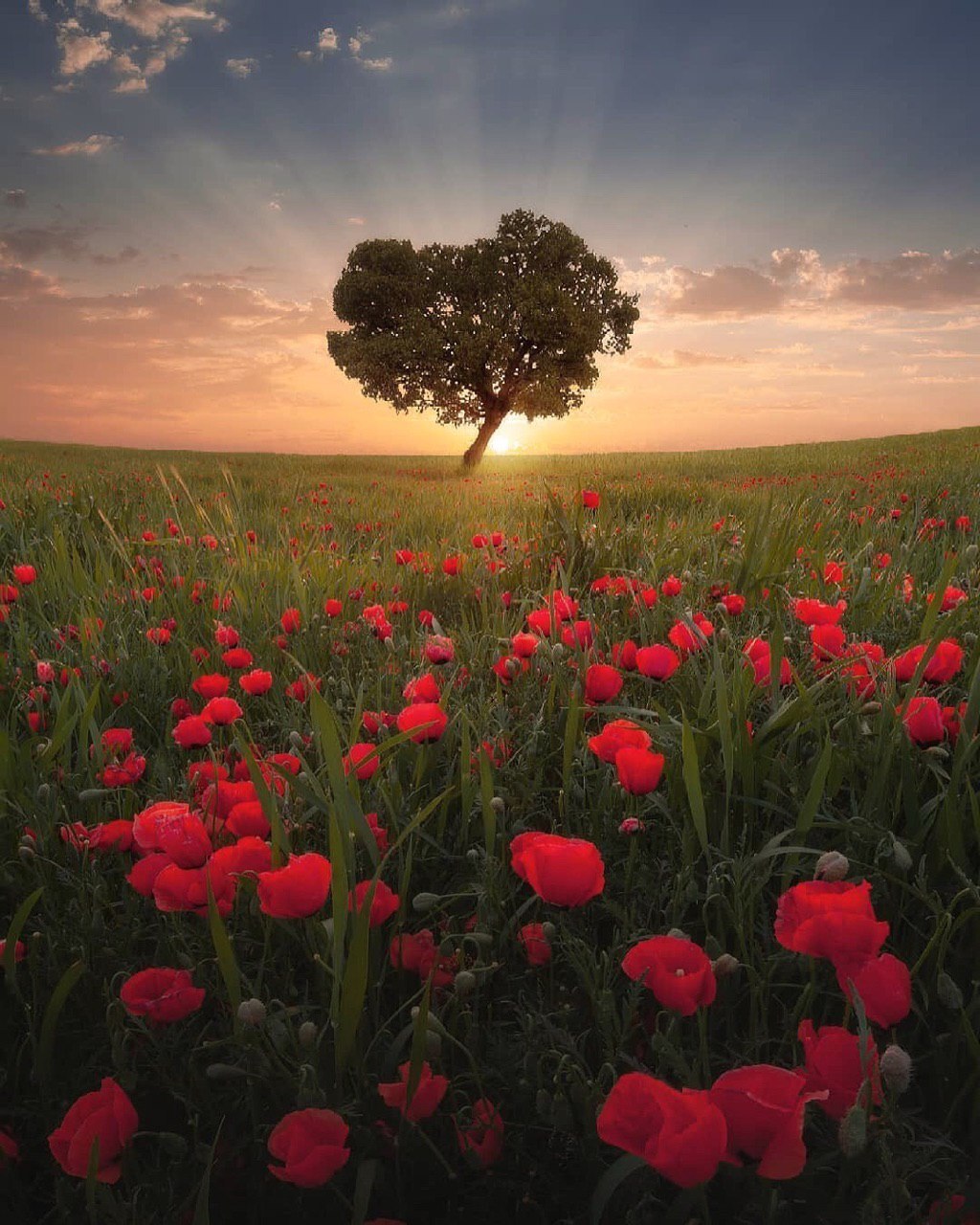 طبیعت بهاری لرستان