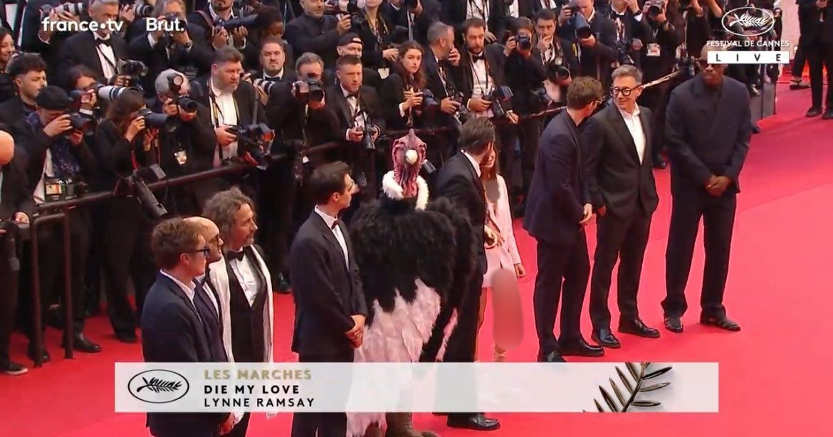 یک کرکس در جشنواره کن