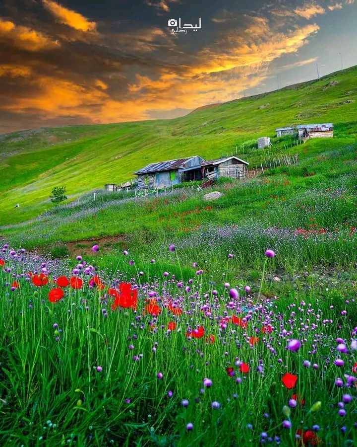 ارتفاعات تالش گیلان