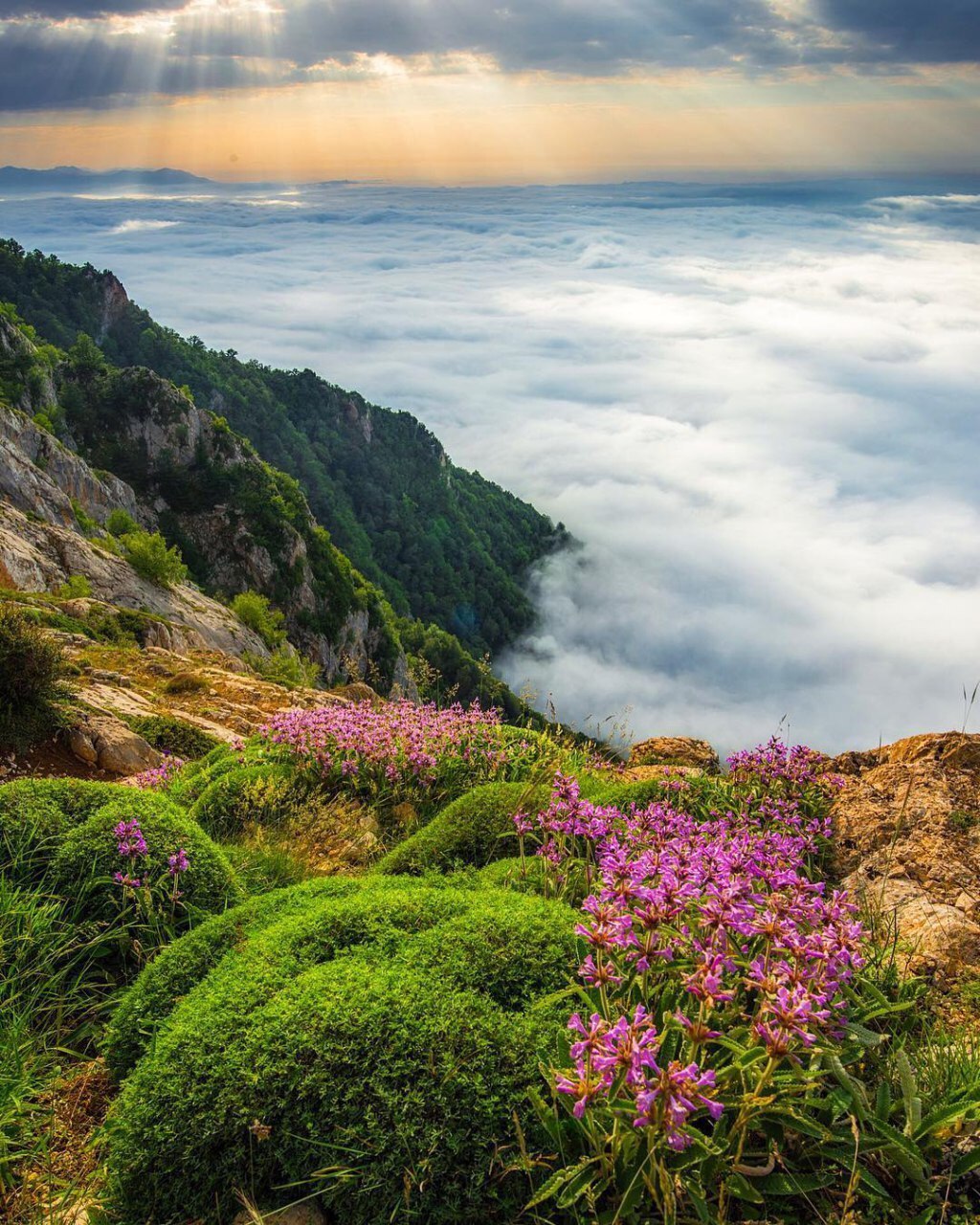 ارتفاعات زیبای بولا