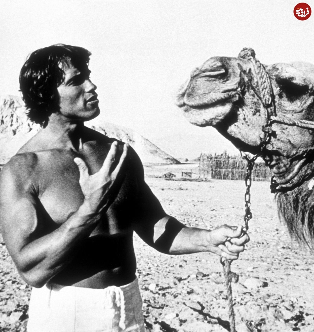 عکس بامزه از آرنولد