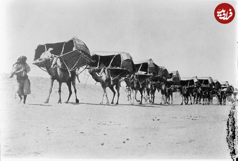 کاروان شترهای سه سرنشین