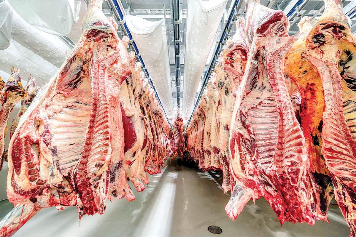 گوشت تنظیم بازاری گوشت تنظیم بازاری