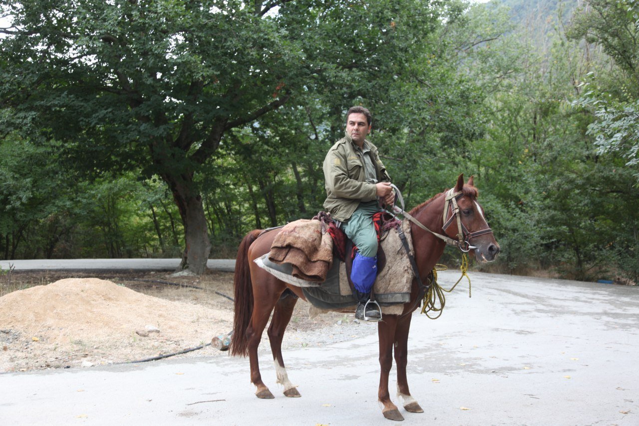 مرگ در گرگ و میش