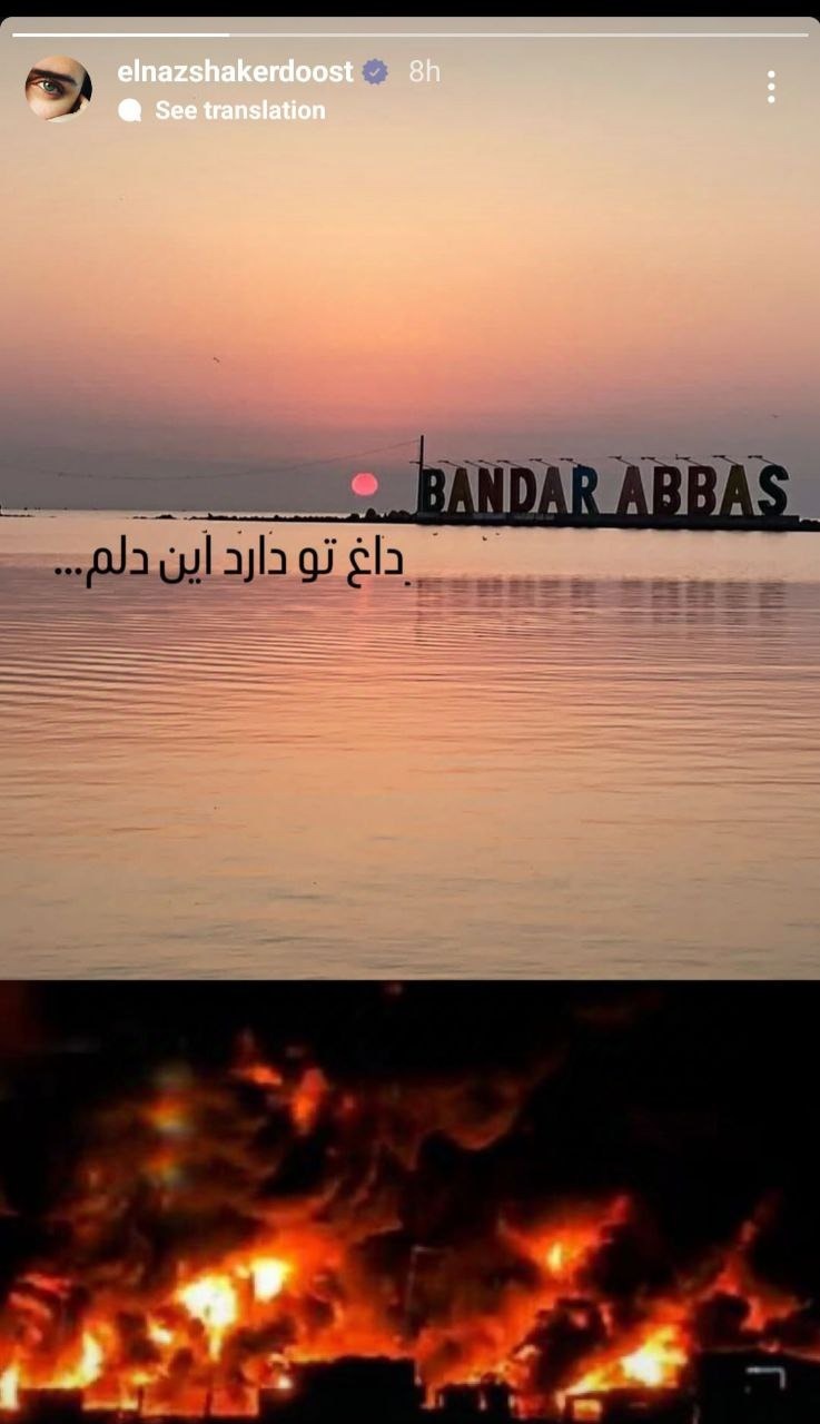 الناز شاکردوست