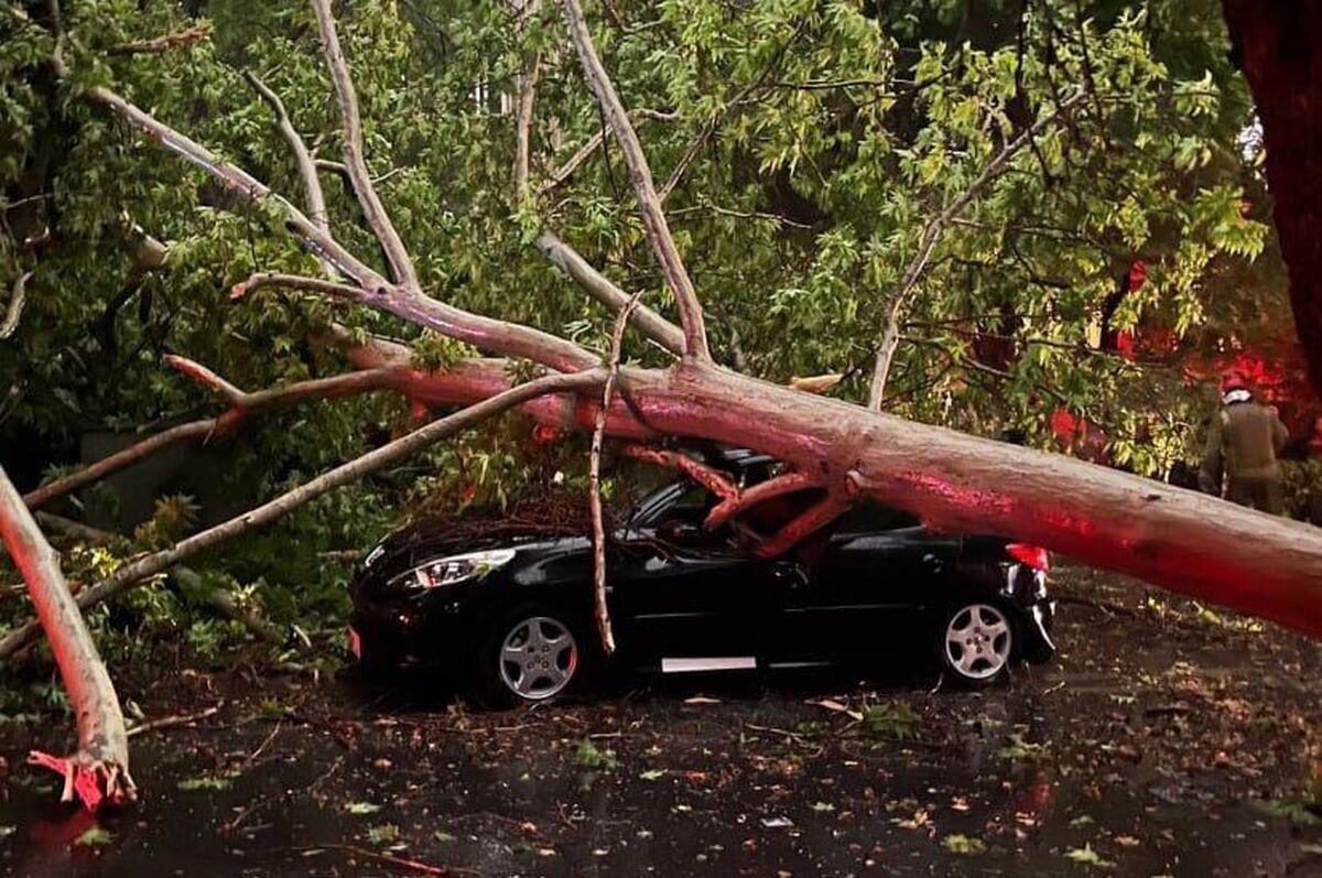 طوفان تهران طوفان تهران